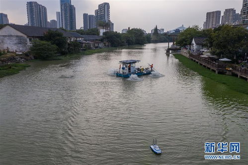 浙江湖州 智能化平臺(tái)助力城市河道精準(zhǔn)治理